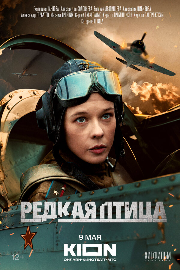 Редкая птица 2024 постер